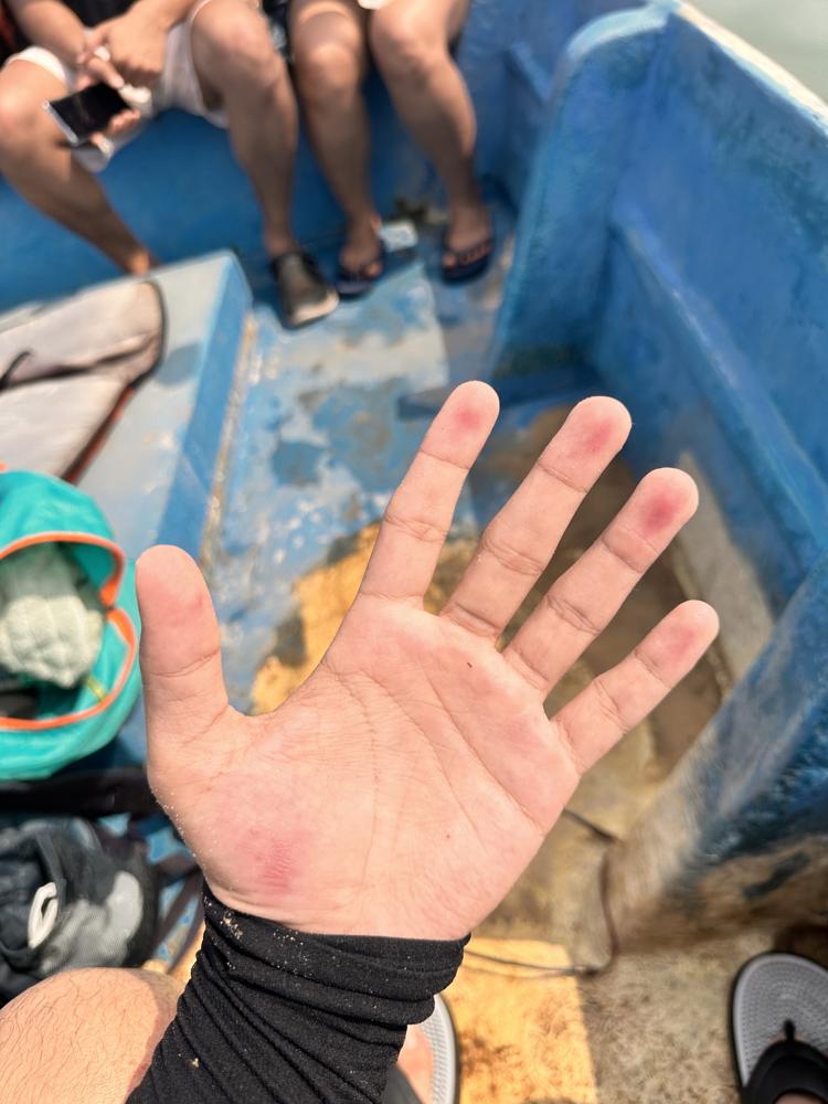 Hand in blue boat