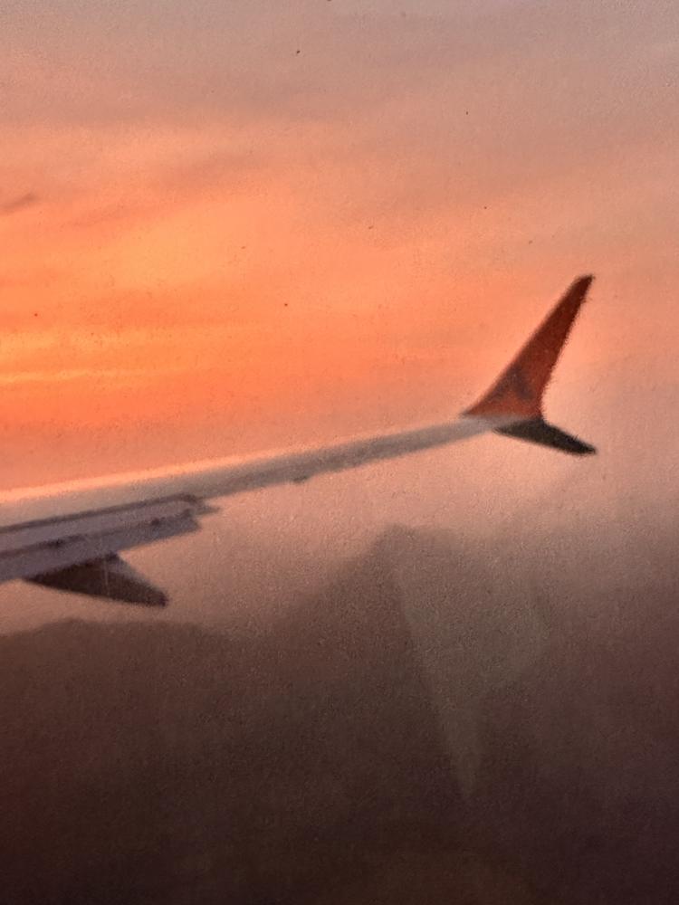 Flight wing at sunset